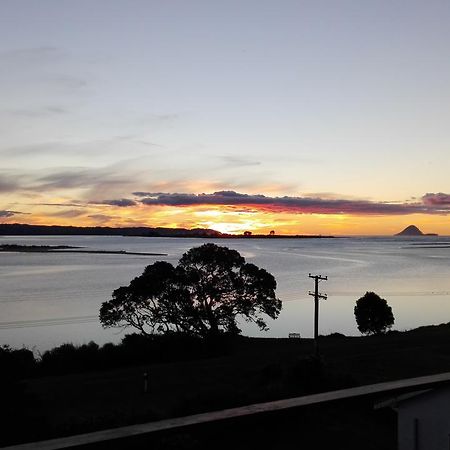 Ohiwa Harbour Studio Apartment Waiotahi Екстериор снимка